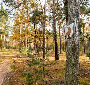 Der Paul-Gerhardt-Weg für „Deutschlands Schönster Wanderweg 2024“