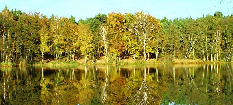 Dahme-Seenland