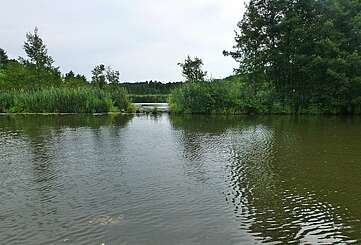 Dahme bei Märkisch Buchholz