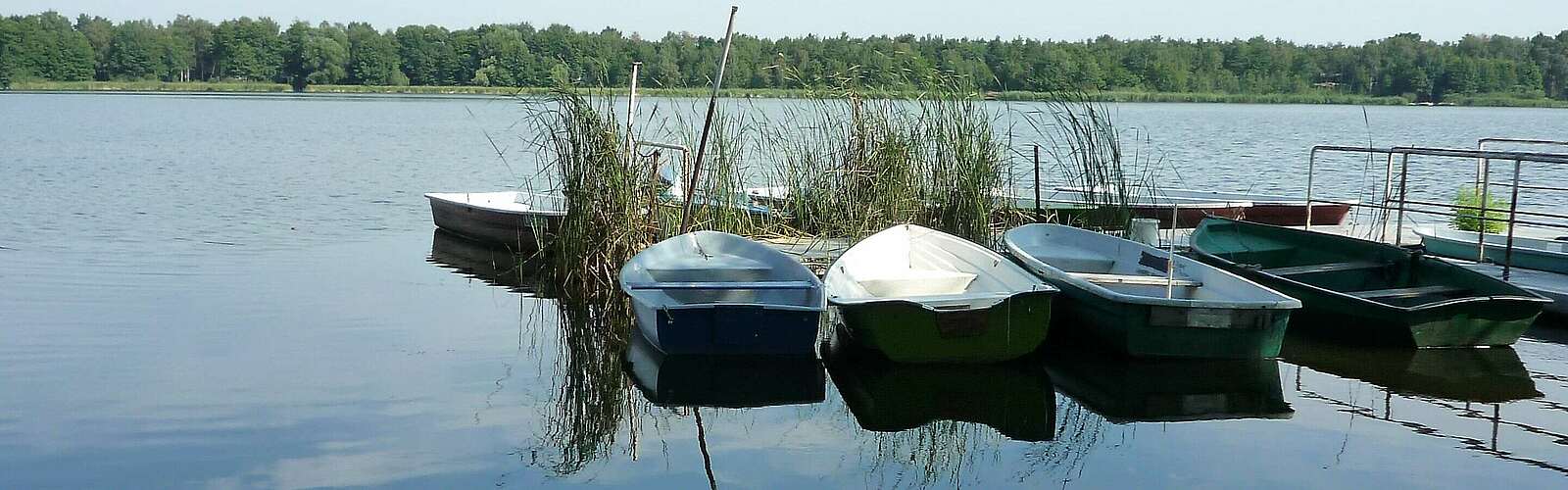 Am Köthener See,
            
        
                Foto: Tourismusverband Dahme-Seenland e.V./Petra Förster