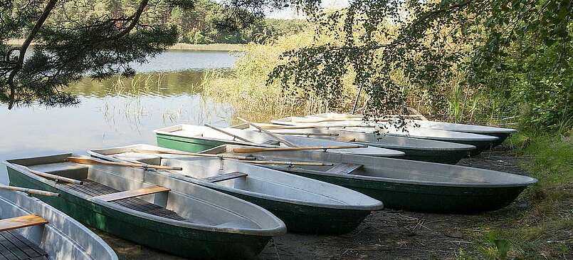 Naturpark Dahme-Heideseen