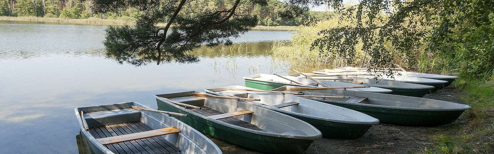 Frauensee Naturpark Dahme-Heideseen,
            
        
                Foto: Tourismusverband Dahme-Seenland e.V./Juliane Frank