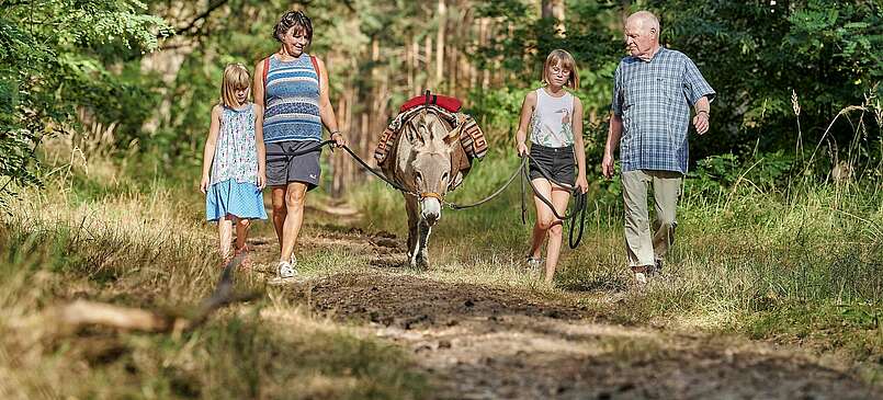 Familienurlaub im Dahme-Seenland mit Eselwanderung